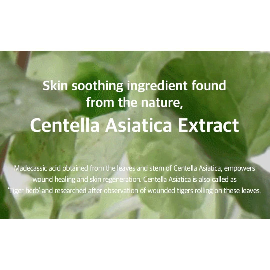 MIXSOON Soondy Centella Asiatica Essence